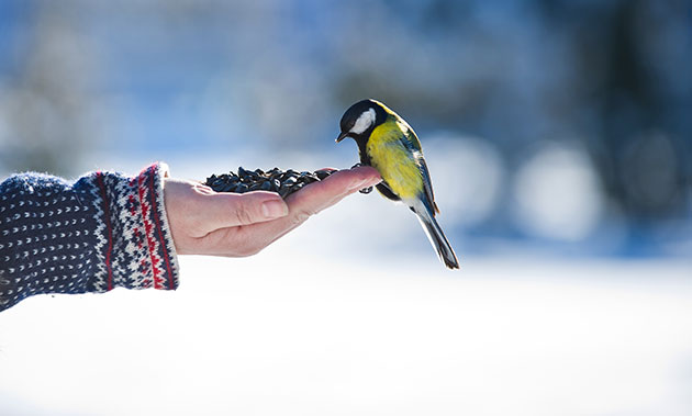 Trust is a&nbsp;Must