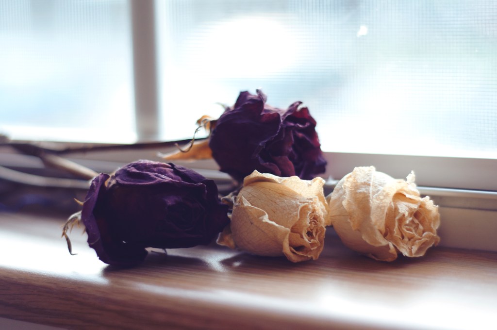book pressed flowers